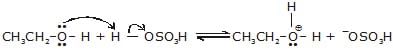 Ethers: Preparation, Properties & Reactions | Chemistry Class 12 - NEET